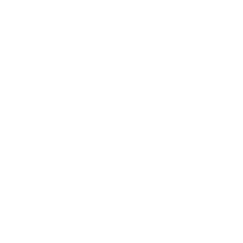 Vis