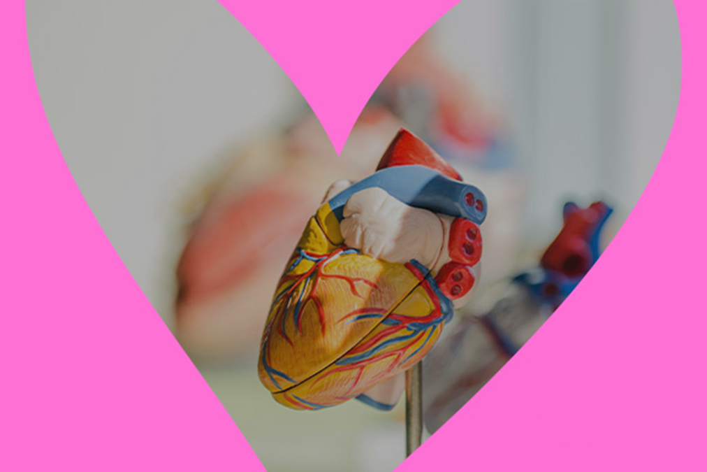 Proteggi il tuo cuore_CATEGORIA